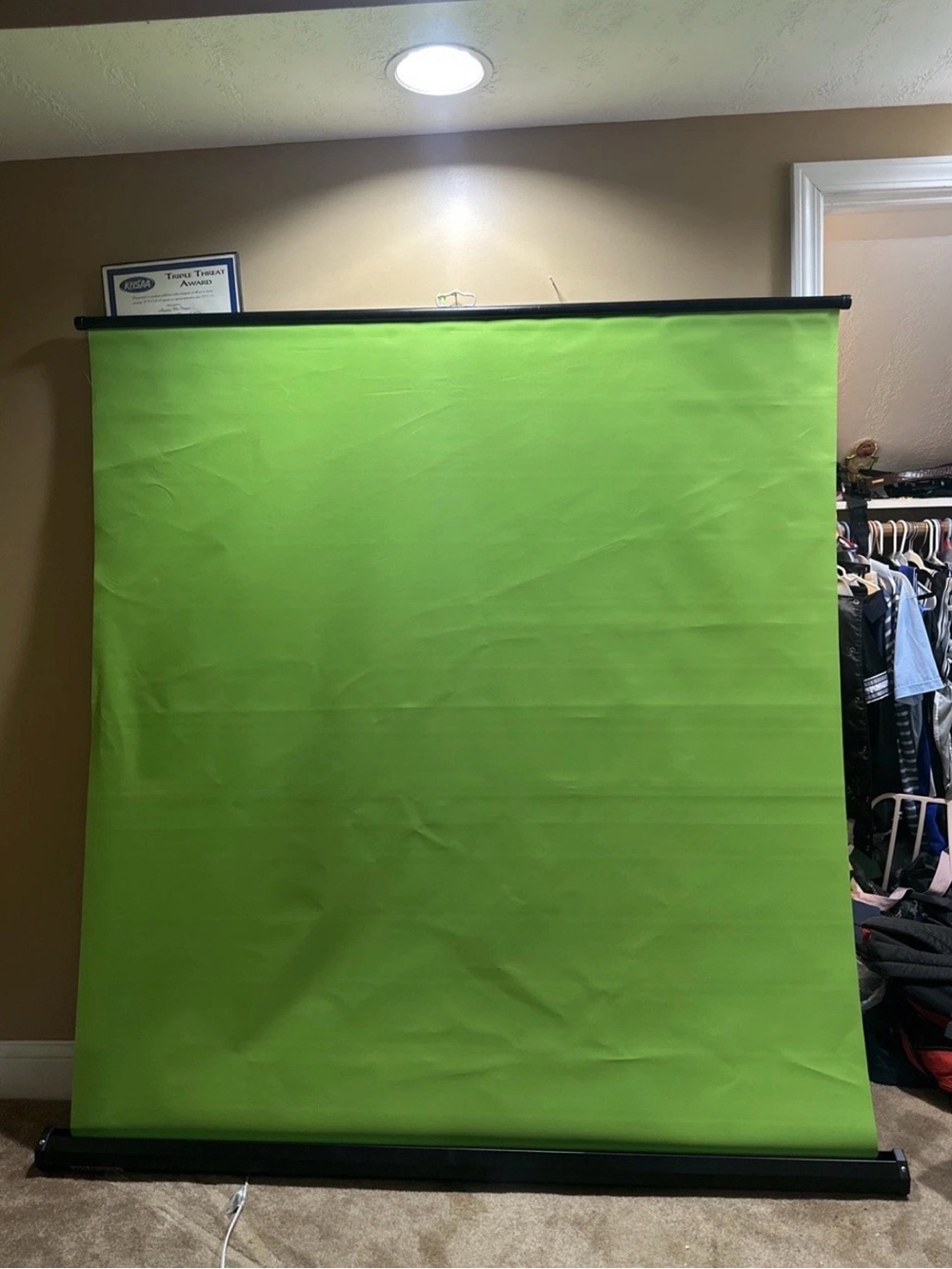 Green Collapsible Backdrop Background Screen - NEEWER